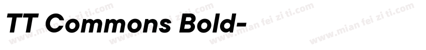 TT Commons Bold字体下载字体转换